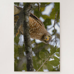 Staring Bird, Tropical Belize Roadside Hawk Jigsaw Puzzle