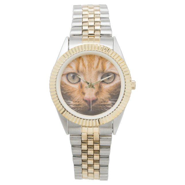 Staring Cat watches (Front)
