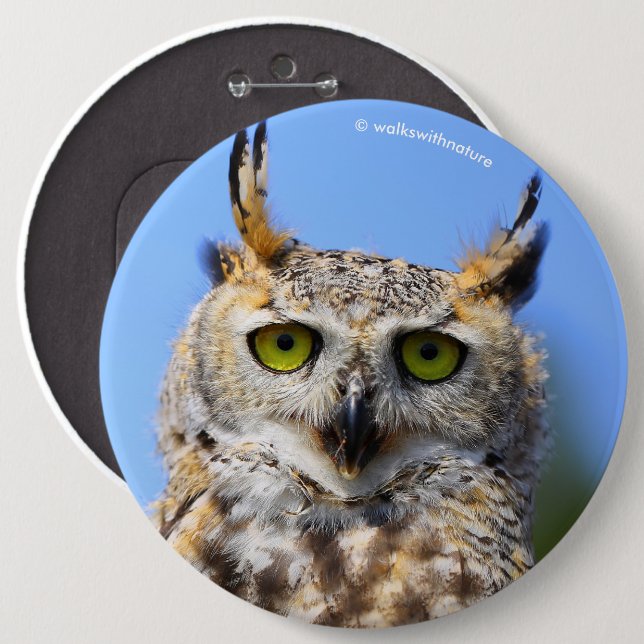 Staring Contest with a Beautiful Great Horned Owl 6 Inch Round Button (Front & Back)