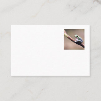 staring frog business card