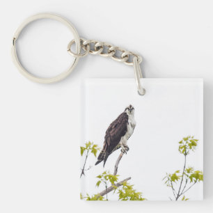 Staring Osprey Keychain