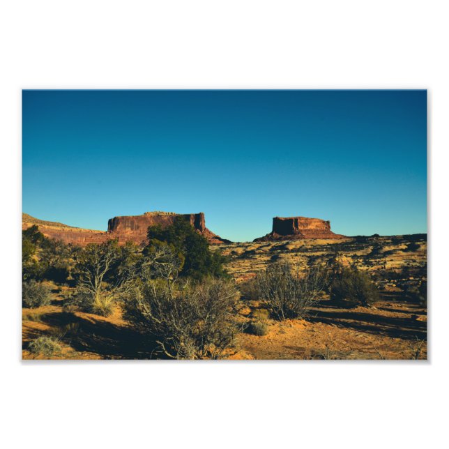 Stark Landscape Photo Print (Front)