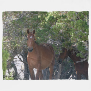 Starlight a Wild Horse from Sand Wash Basin Fleece Blanket