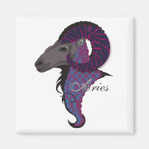 Starlight Aries Magnets