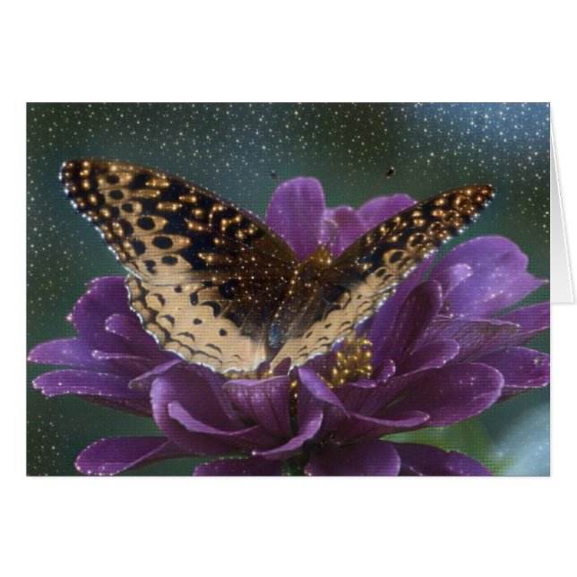 Starlight Butterfly (Front Horizontal)