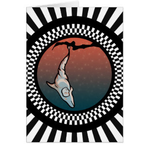 starlight dolphin cocoon