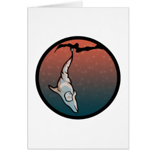 starlight dolphin cocoon