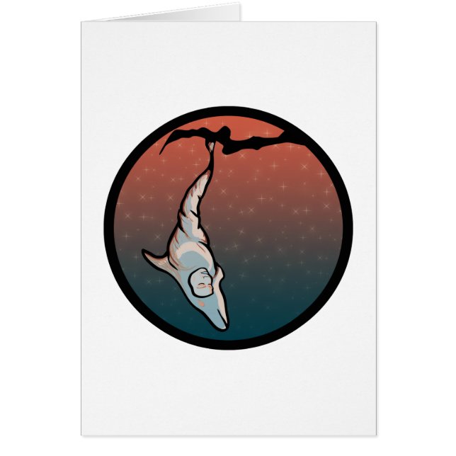 starlight dolphin cocoon (Front)