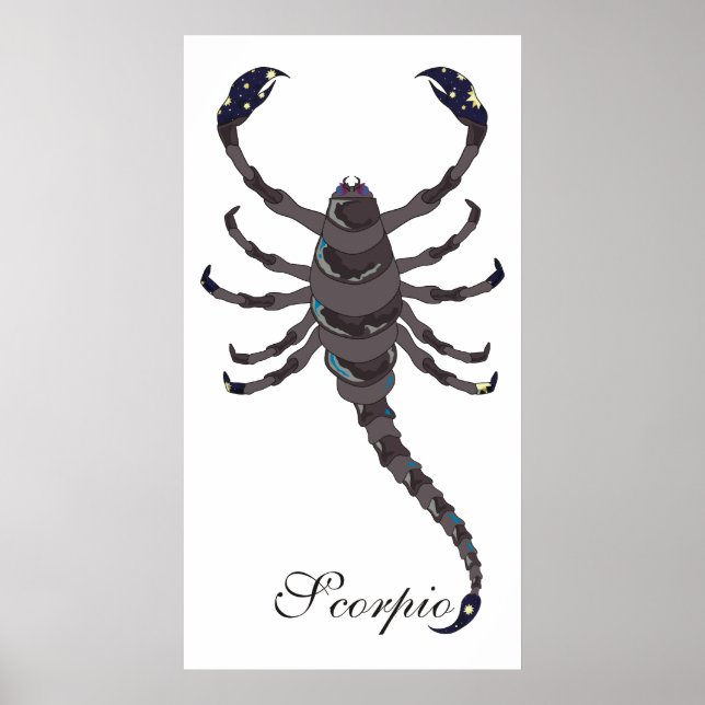 Starlight Scorpio Print (Front)