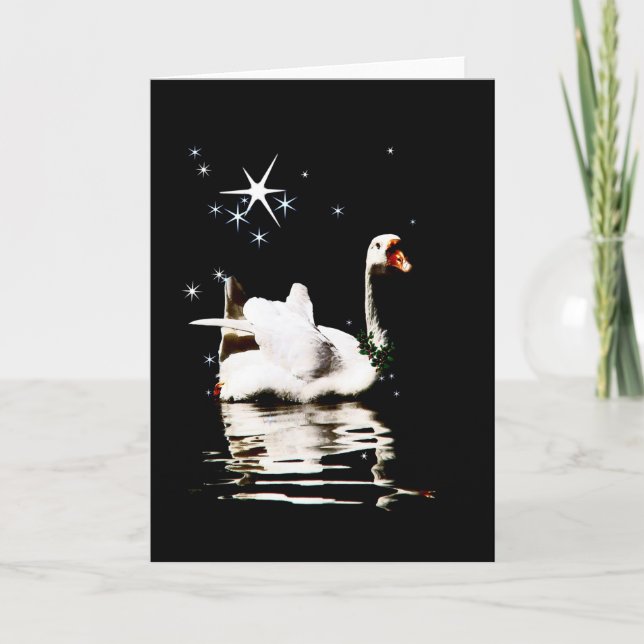 Starlight Swan  Holiday Card (Front)
