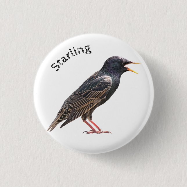 Starling 1 Inch Round Button (Front)