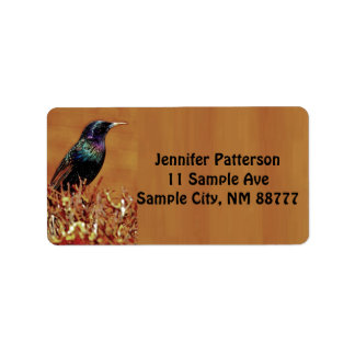 Starling Bird Return Address Labels