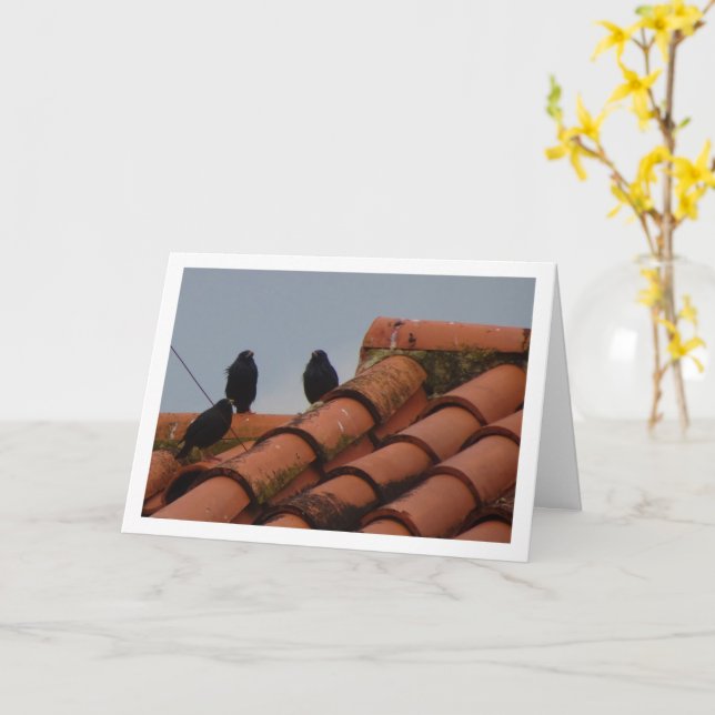 Starling Birds on Rooftop Card (Yellow Flower)