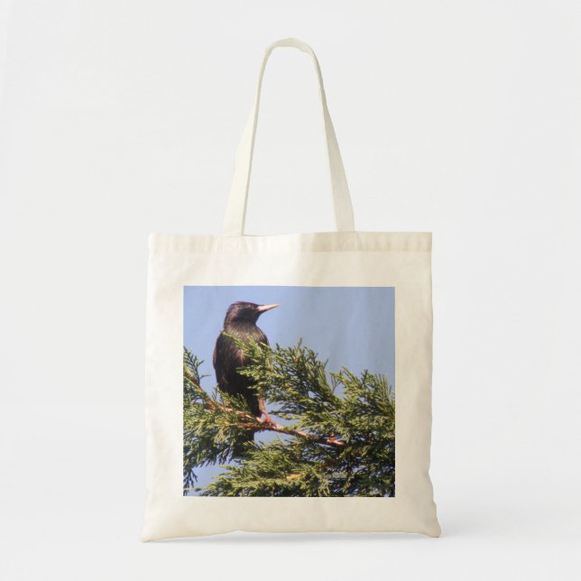 Starling in a Spruce Tree Bag (Front)