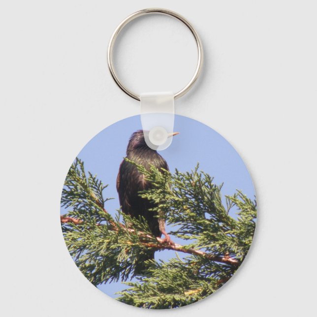 Starling in a Spruce Tree Keychain (Front)