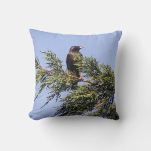 Starling in a Spruce Tree Pillow