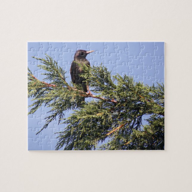 Starling in a Spruce Tree Puzzle (Horizontal)