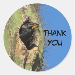 Starling in Saguaro Cactus Photo Southwest Bird Classic Round Sticker