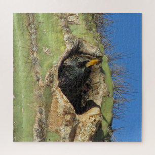 Starling in Saguaro Cactus Photo Southwest Bird Jigsaw Puzzle