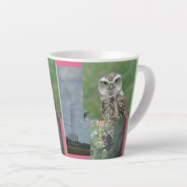 Starling, Owl and Birdswarm Collage Latte Mug (Right Angle)