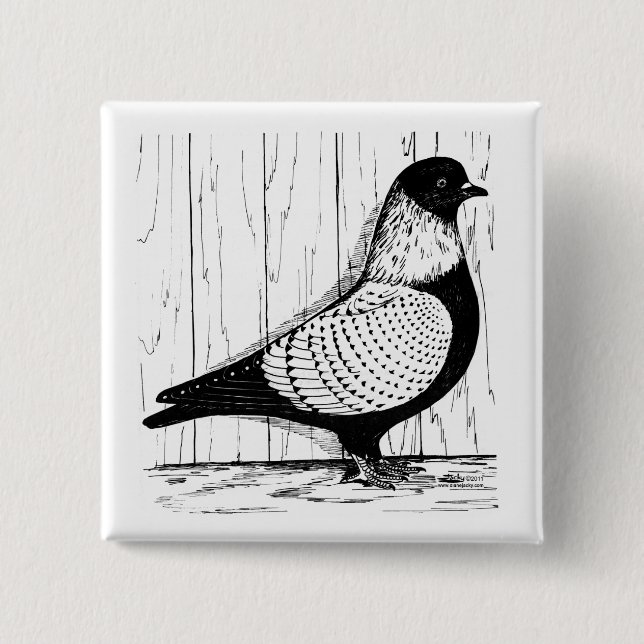 Starling Pigeon Silver-laced 1979 2 Inch Square Button (Front)