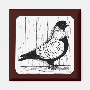 Starling Pigeon Silver-laced 1979 Magnet
