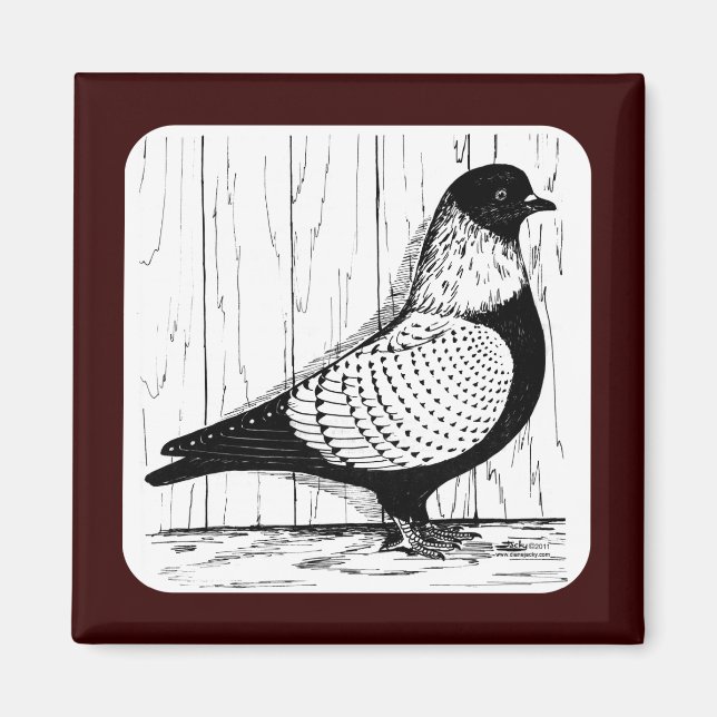 Starling Pigeon Silver-laced 1979 Magnet (Front)