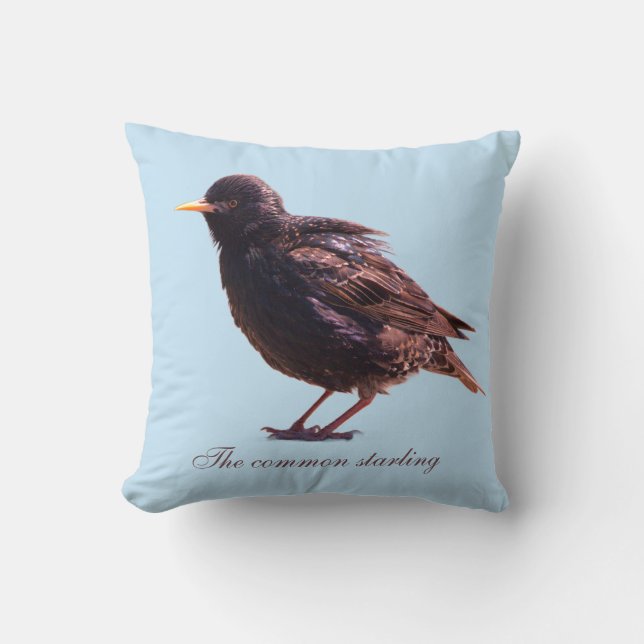 Starling  throw pillow (Front)