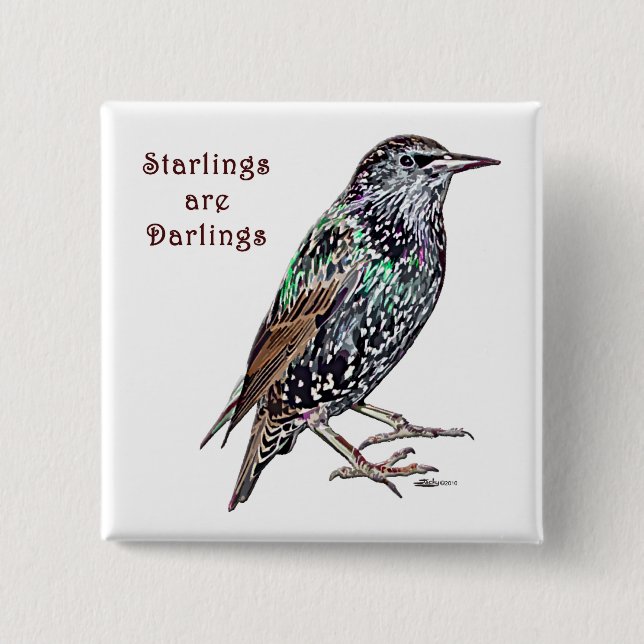 Starlings Are Darlings 2 Inch Square Button (Front)
