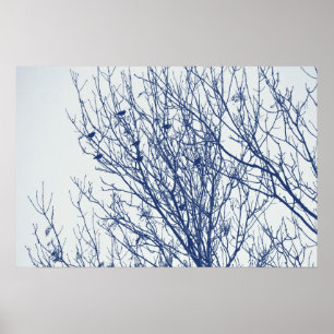Starlings in a Tree - Cyanotype Effect Poster