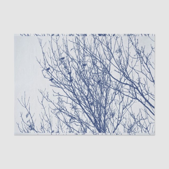 Starlings in a Tree - Cyanotype Effect Tissue Paper (Front)