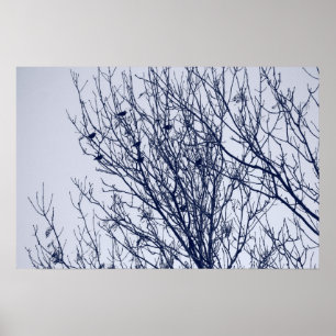 Starlings in a Tree Poster
