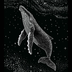 Starry Humpback Whale Celestial Dots Art Black Whi T-Shirt