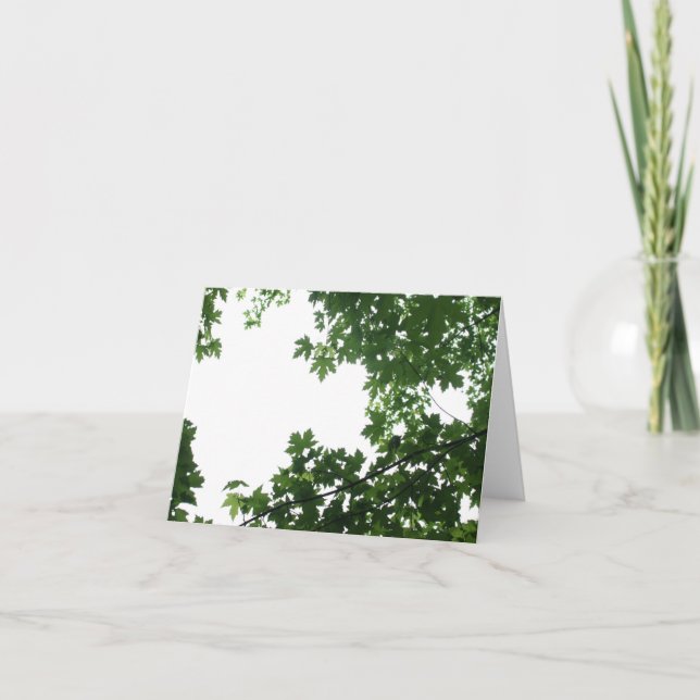 Starry Leaves, White Sky Note Card (Front)