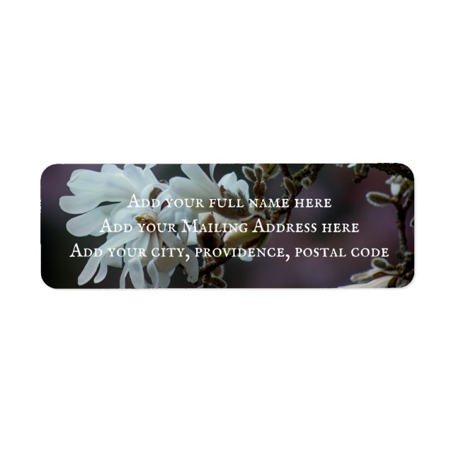Starry Magnolia (Devant)