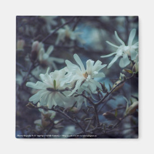 Starry Magnolia 3172 Magnet