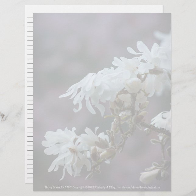 Starry Magnolia 5780 (Front/Back)