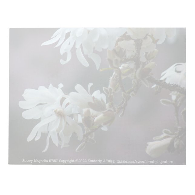 Starry Magnolia 5780 Notepad (Front)