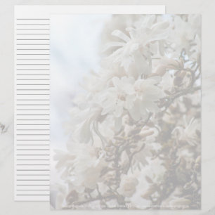 Starry Magnolia 5781