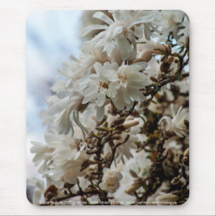 Starry Magnolia 5781 Mouse Pad
