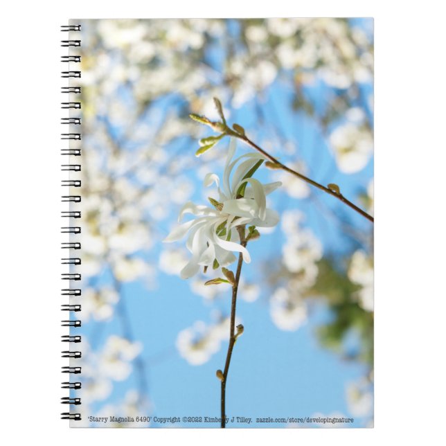 Starry Magnolia 6490 Notebook (Front)