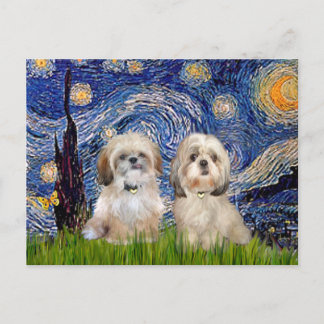 Starry Night - 2 Sihih Tzus (P+Y) Postcard