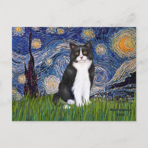 Starry Night - Black and White Cat Postcard
