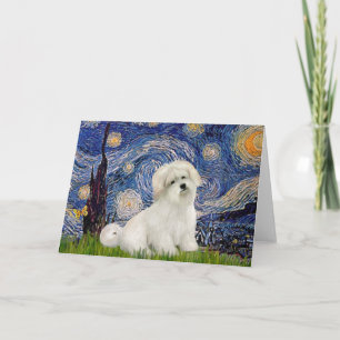 Starry Night - Coton of Tulear 7 Card
