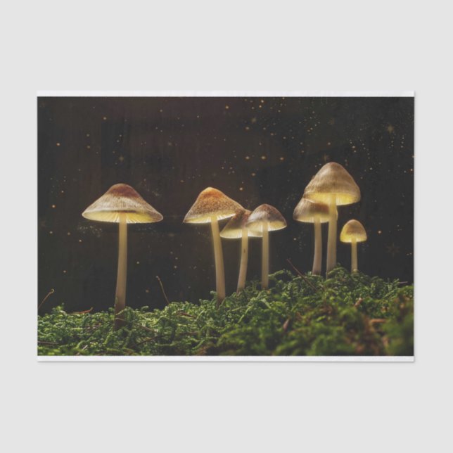 Starry Night Glowing Mushrooms  Tissue Paper (Front)