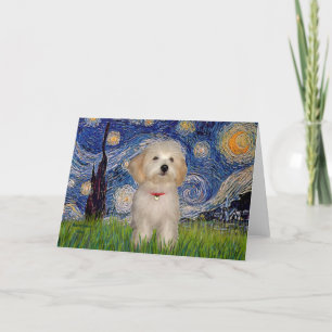 Starry Night - Havanese Puppy Card
