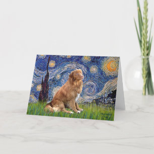 Starry Night - Nova Scotia Duck Rolling Retriever Card
