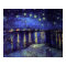Starry Night Over the Rhone