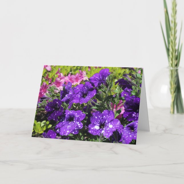 Starry Night Petunia flower greeting card (Front)
