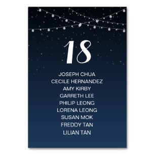 Starry Night Rustic Mariage Carte de siège